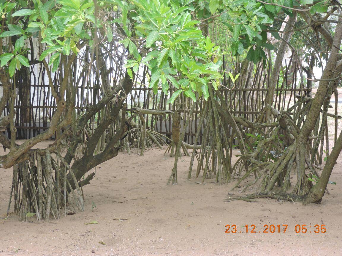 Akain Villa Dodanduwa Exterior foto